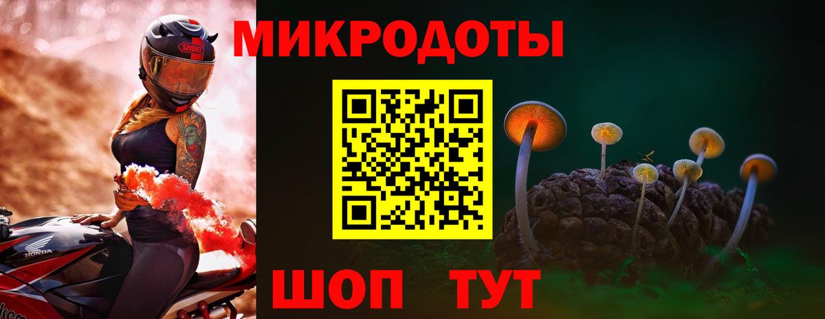 Подольск  наркошоп  Вход с VPN  Галлюциногенные грибы Psilocybine cubensis 